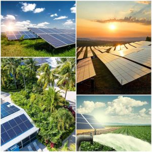 Trang trại điện mặt trời 1 xu hướng phát triển mới tại Việt nam